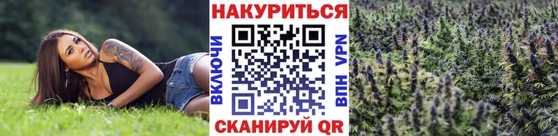 Канабис Amnesia  Купить  Волгодонск 